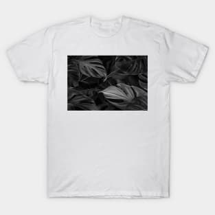 Black Monstera Leaf Pattern T-Shirt